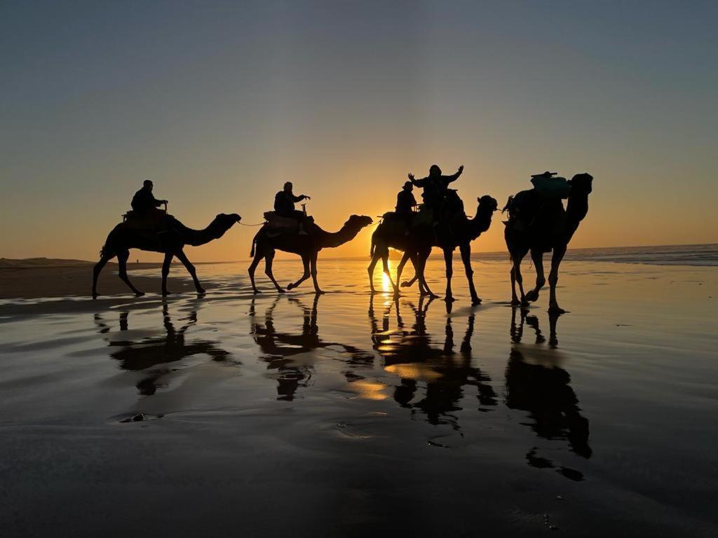 Riad Le Consulat - Private Riad For Family & Group, Breakfast Included, Skala Essaouira Esterno foto